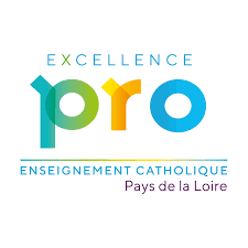 excellence pro logo